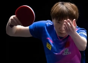 米兰体育官网-法国队绝杀中国队，马琳惊艳四座的简单介绍