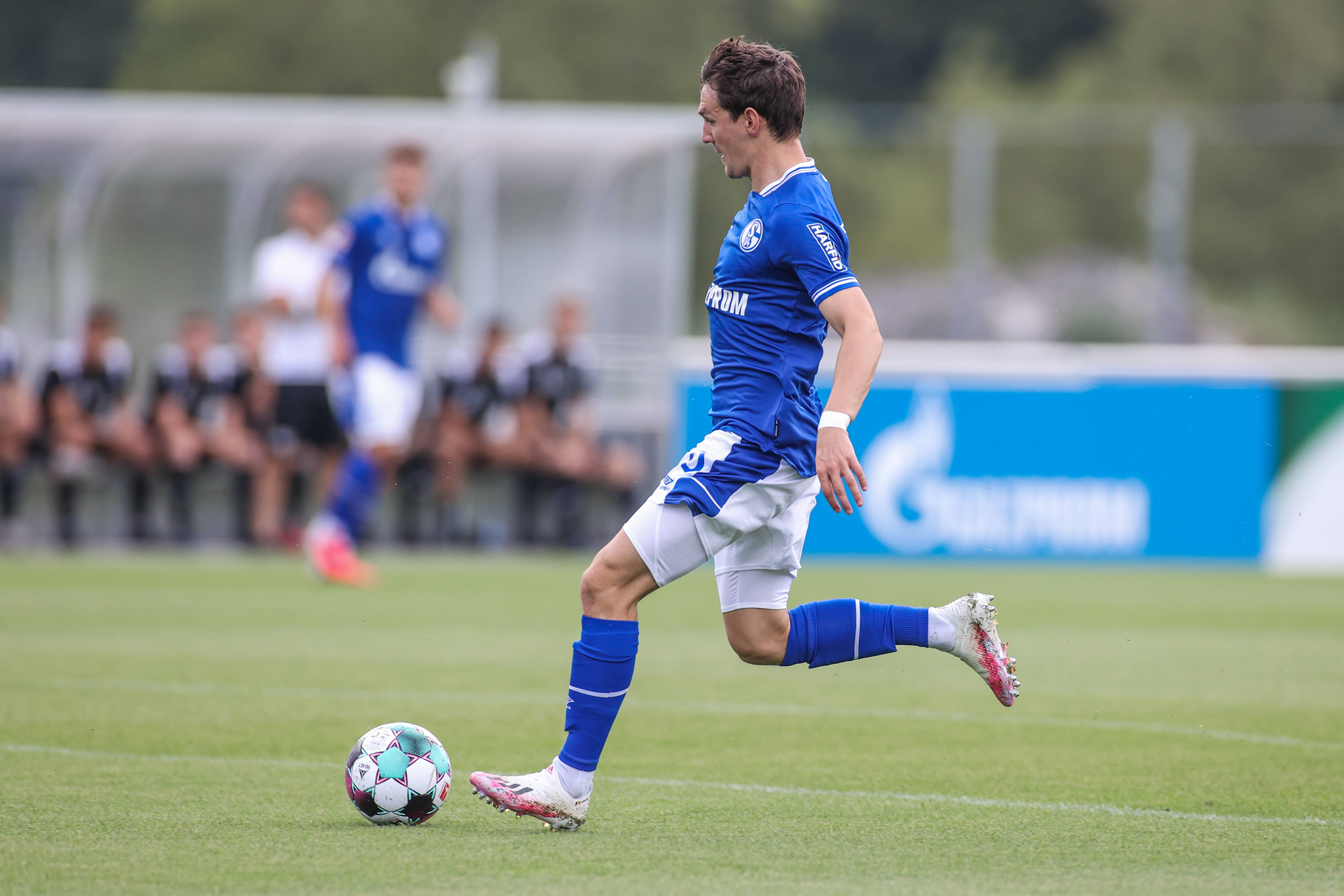 包含拜仁慕尼黑主场大胜沙尔克04，提前三轮锁定德甲冠军！的词条